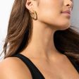 Michael Kors Premium Gold Tone Earring MKJ8407CZ710 Discount