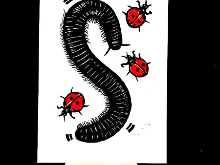 Millipede with Ladybugs on Sale