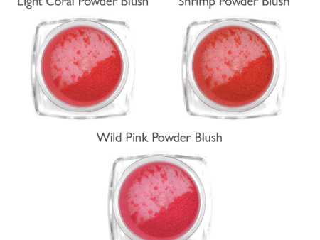 Powder Blush Sample Kit: Bold Tones Cheap