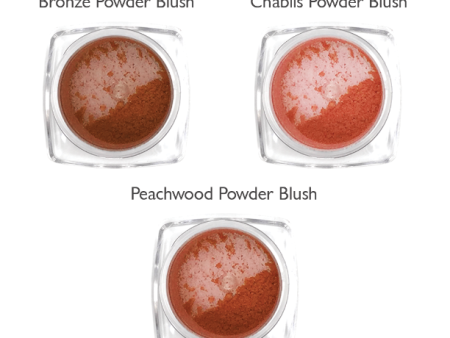 Powder Blush Sample Kit: Peachy Brown Tones Online