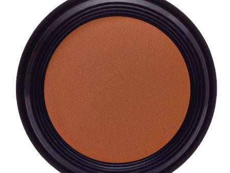 Bronze Powder Blush Online now