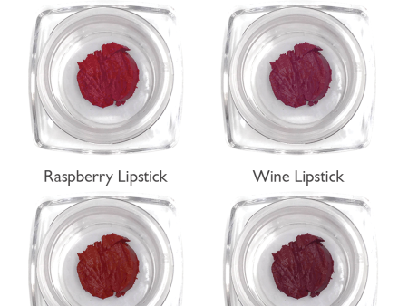 Lipstick Sample Kit: Berry Tones For Sale