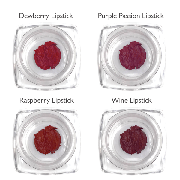 Lipstick Sample Kit: Berry Tones For Sale