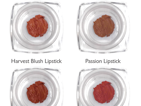 Lipstick Sample Kit: Rusty Brown Tones Online