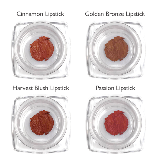 Lipstick Sample Kit: Rusty Brown Tones Online