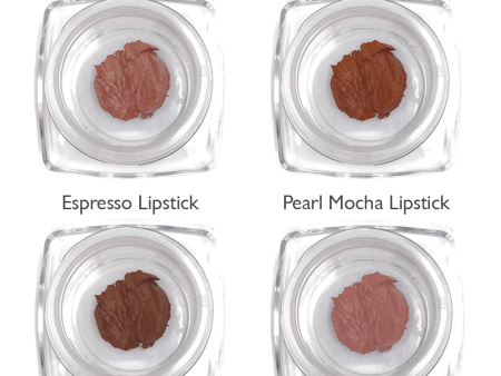 Lipstick Sample Kit: Brown Tones on Sale