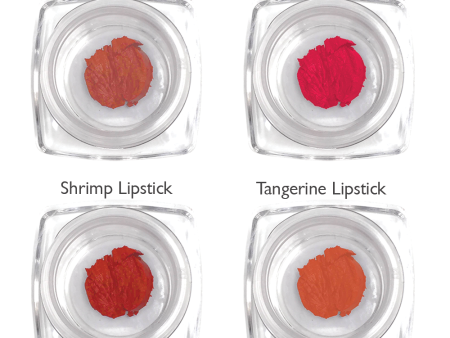 Lipstick Sample Kit: Coral & Orange Tones For Sale