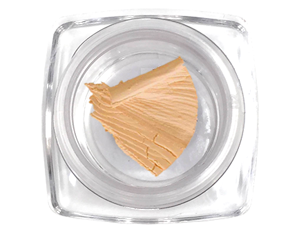 Concealer (Medium) Sample Size Hot on Sale