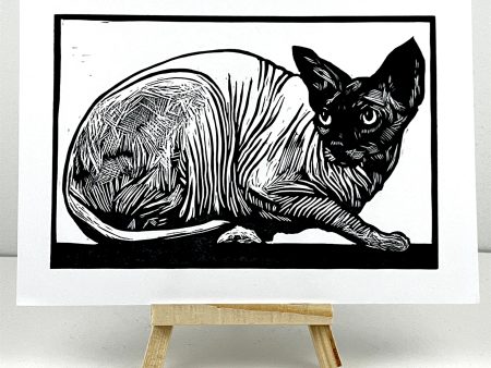 The Sphynx Cat Sale