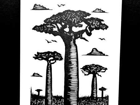 Baobab Trees Hot on Sale