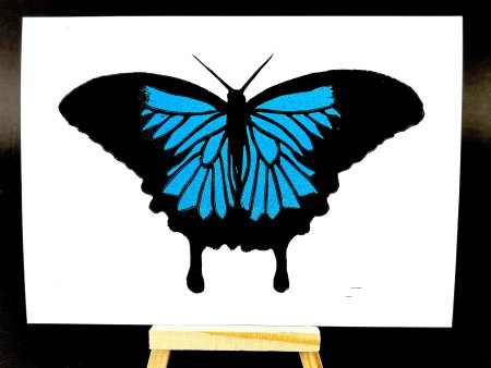 Ulysses Butterfly Cheap