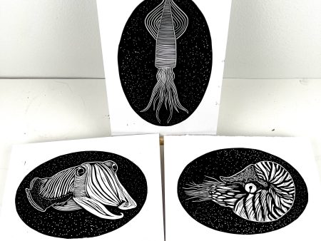 Sea Creature Triptych - Squid, Cuttlefish & Nautilus Fashion