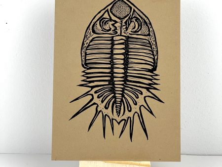 Trilobite  Trixie  Sale