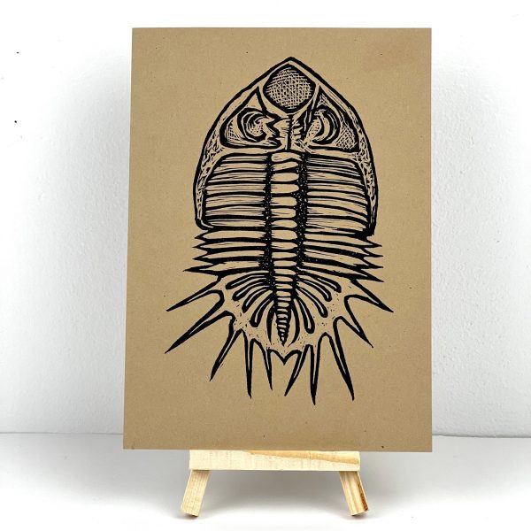 Trilobite  Trixie  Sale