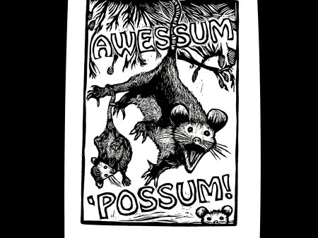 Awessum  Possum! Online now