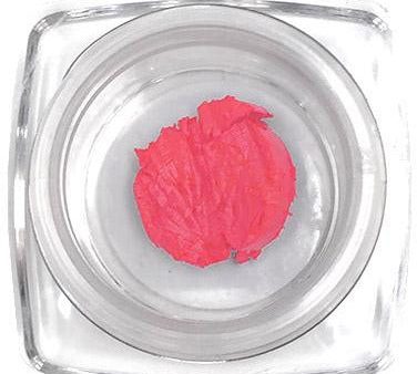 Lipstick (Coral Berry) Sample Size Online Hot Sale