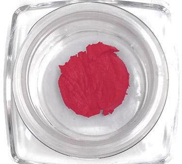 Lipstick (Parfait) Sample Size on Sale