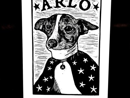 Arlo the Amazing (pet portrait) For Cheap