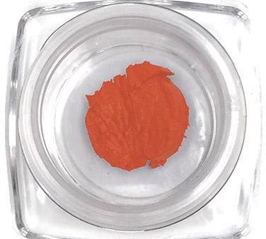 Lipstick (Tangerine) Sample Size Cheap